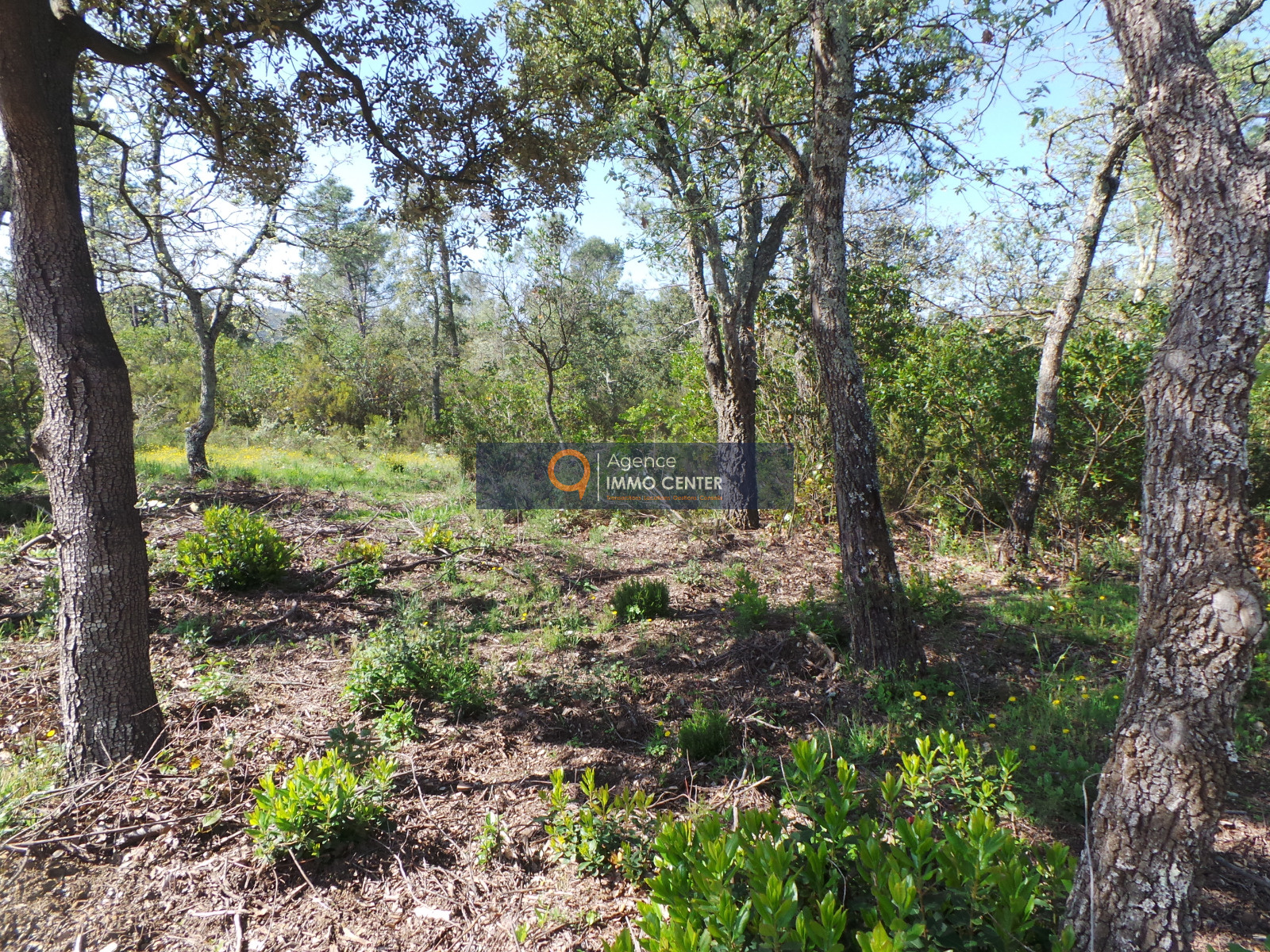 Terrain Non Constructible Avec Cabanon Cadastré Vaucluse